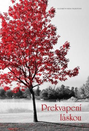 Prekvapení láskou - Elizabeth Viera Talbotová